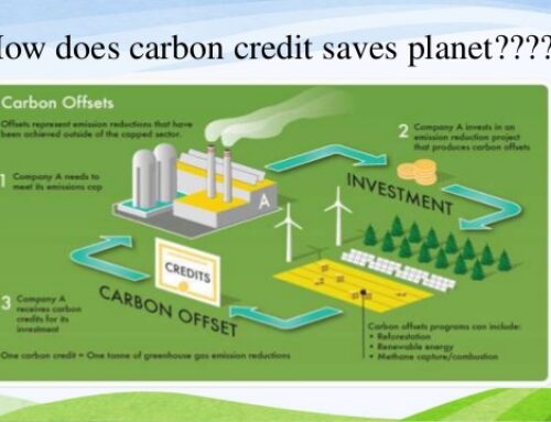 Carbon Credits as investment